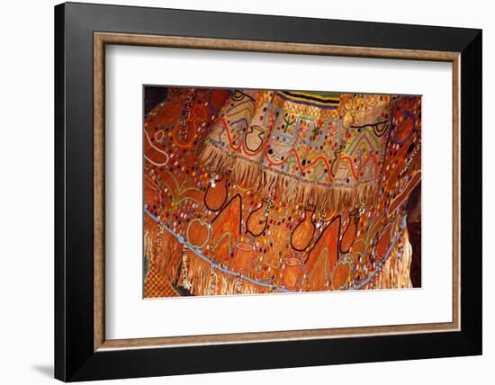 Tanzania, Karatu. Iraqi Beaded Wedding Dress-Kymri Wilt-Framed Photographic Print