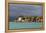 Tanzania, Zanzibar, Nungwi, Tourist Resort on Stilts-Anthony Asael-Framed Premier Image Canvas