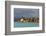 Tanzania, Zanzibar, Nungwi, Tourist Resort on Stilts-Anthony Asael-Framed Photographic Print