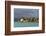 Tanzania, Zanzibar, Nungwi, Tourist Resort on Stilts-Anthony Asael-Framed Photographic Print