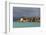 Tanzania, Zanzibar, Nungwi, Tourist Resort on Stilts-Anthony Asael-Framed Photographic Print