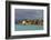 Tanzania, Zanzibar, Nungwi, Tourist Resort on Stilts-Anthony Asael-Framed Photographic Print