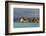 Tanzania, Zanzibar, Nungwi, Tourist Resort on Stilts-Anthony Asael-Framed Photographic Print