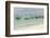 Tanzania, Zanzibar, Nungwi, Traditional Fisherman Boat on White Beach-Anthony Asael-Framed Photographic Print