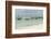 Tanzania, Zanzibar, Nungwi, Traditional Fisherman Boat on White Beach-Anthony Asael-Framed Photographic Print