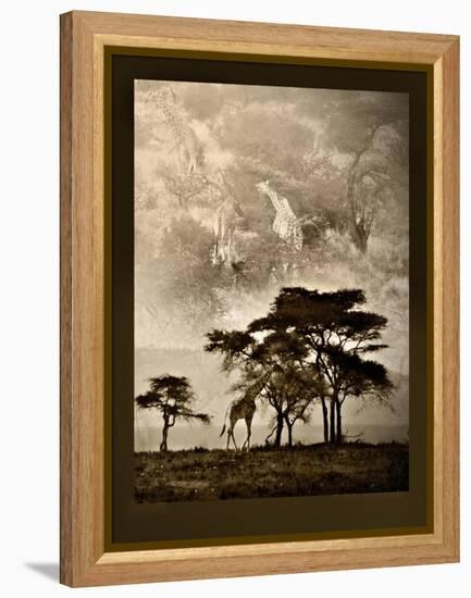 Tanzanian Landscape-Bobbie Goodrich-Framed Stretched Canvas