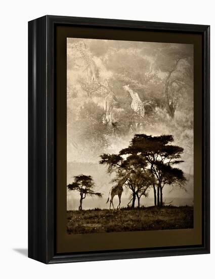 Tanzanian Landscape-Bobbie Goodrich-Framed Stretched Canvas