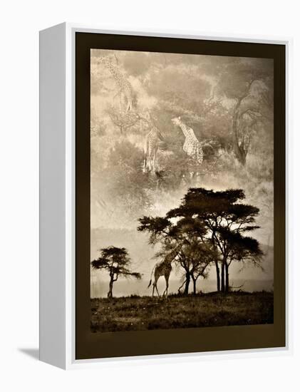 Tanzanian Landscape-Bobbie Goodrich-Framed Stretched Canvas