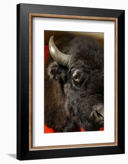 Taos, New Mexico, USA.-Julien McRoberts-Framed Photographic Print