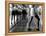 Tap Dancing Class at Iowa State College, 1942-Jack Delano-Framed Stretched Canvas