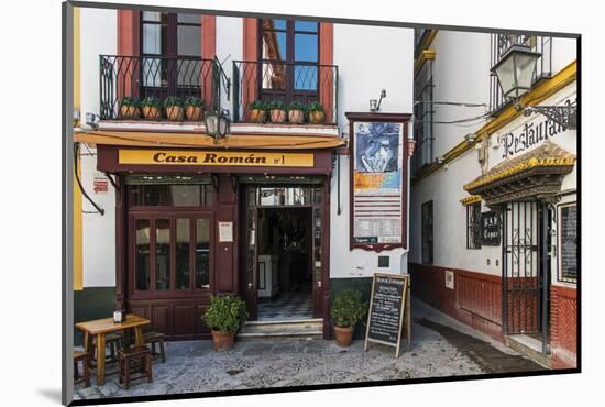 Tapas restaurant in the primary tourist neighborhood of Santa Cruz in Seville, Andalusia, Spain-Stefano Politi Markovina-Mounted Photographic Print