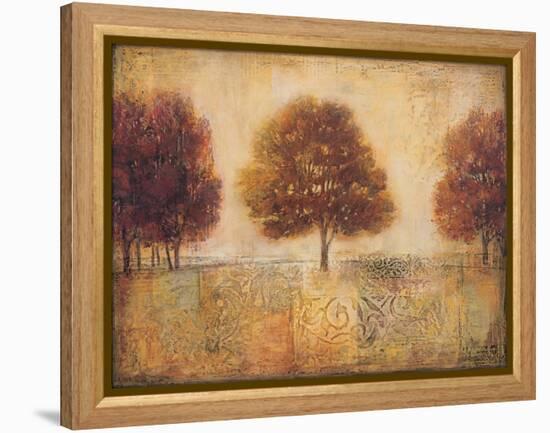 Tapestry Fields I-Ivo-Framed Stretched Canvas