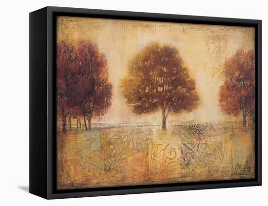 Tapestry Fields I-Ivo-Framed Stretched Canvas