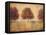 Tapestry Fields I-Ivo-Framed Stretched Canvas