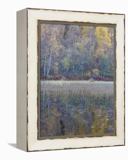 Tapestry-Doug Chinnery-Framed Premier Image Canvas