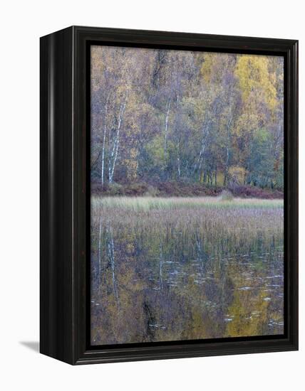 Tapestry-Doug Chinnery-Framed Premier Image Canvas