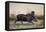 Tapir, 1880-Joseph Wolf-Framed Premier Image Canvas