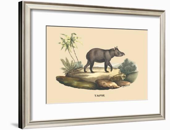 Tapir-E.f. Noel-Framed Art Print