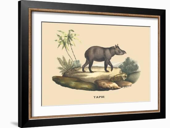 Tapir-E.f. Noel-Framed Art Print