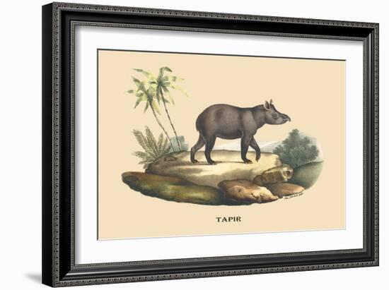 Tapir-E.f. Noel-Framed Art Print