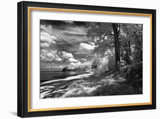 Tappahannock Shores II-Alan Hausenflock-Framed Photo