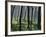 Tapping a Rubber Tree, West Province, Sri Lanka-David Beatty-Framed Photographic Print