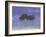 Taprabane-Lincoln Seligman-Framed Giclee Print