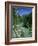 Tara Canyon and Tara River, Tramontana, Montenegro, Europe-Stuart Black-Framed Photographic Print