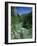 Tara Canyon and Tara River, Tramontana, Montenegro, Europe-Stuart Black-Framed Photographic Print