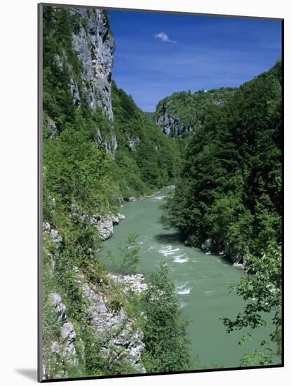 Tara Canyon and Tara River, Tramontana, Montenegro, Europe-Stuart Black-Mounted Photographic Print