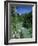 Tara Canyon and Tara River, Tramontana, Montenegro, Europe-Stuart Black-Framed Photographic Print