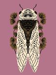 Cicada on Mauve-Tara Reed-Art Print