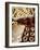 Tarallucci or Taralli, Bread from Puglia, Italy, Europe-Tondini Nico-Framed Photographic Print