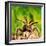 Tarantula, Bird-Eating Spider-Andy Teare-Framed Photographic Print