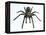 Tarantula-Lawrence Lawry-Framed Premier Image Canvas