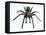 Tarantula-Lawrence Lawry-Framed Premier Image Canvas