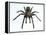 Tarantula-Lawrence Lawry-Framed Premier Image Canvas