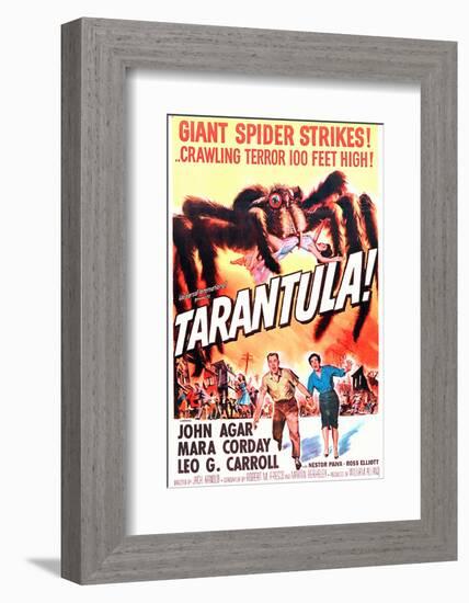 Tarantula-null-Framed Photo