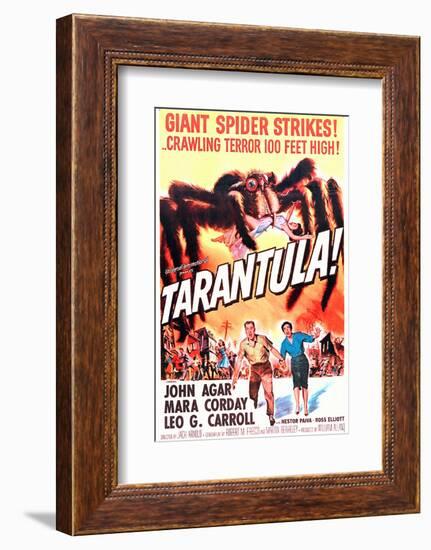 Tarantula-null-Framed Photo