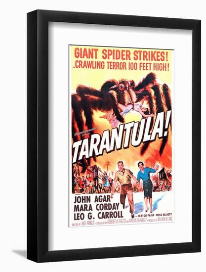 Tarantula-null-Framed Photo