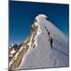 Premium Photographic Print