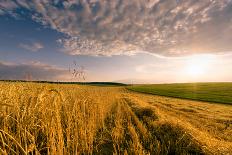 Rural Field at the Early Morning-Taras Lesiv-Framed Photographic Print