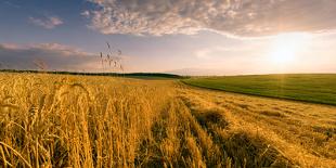 End of Day over Field with Straw-Taras Lesiv-Photographic Print