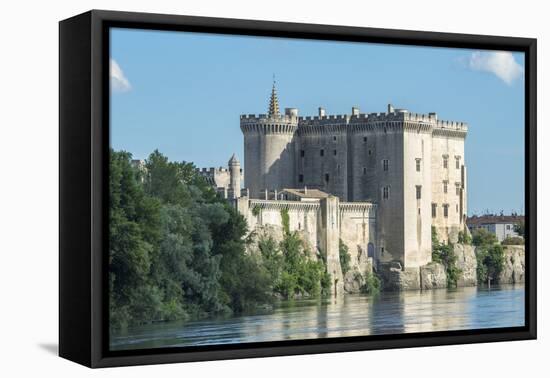 Tarascon Castle, Tarascon, Provence, France-Jim Engelbrecht-Framed Premier Image Canvas