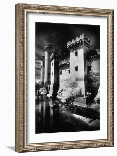 Tarascon Chateau, Provence, France-Simon Marsden-Framed Giclee Print