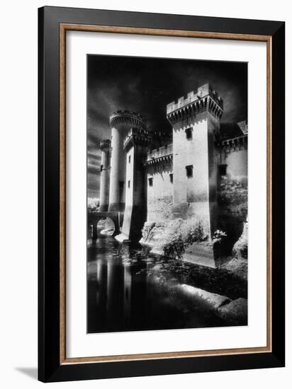 Tarascon Chateau, Provence, France-Simon Marsden-Framed Giclee Print