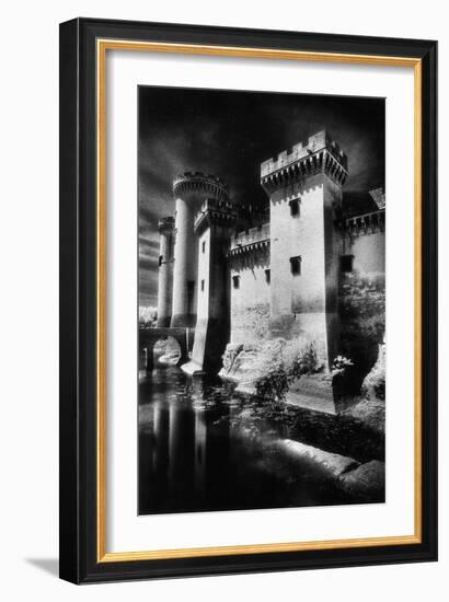 Tarascon Chateau, Provence, France-Simon Marsden-Framed Giclee Print