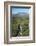 Tarawera Falls on Tarawera River, and Mount Tarawera Volcano, Rotorua, North Island, New Zealand-David Wall-Framed Photographic Print