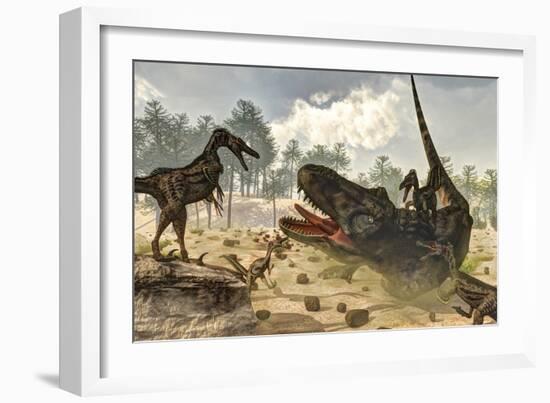 Tarbosaurus Attacked by a Group of Velociraptor Dinosaurs-Stocktrek Images-Framed Art Print