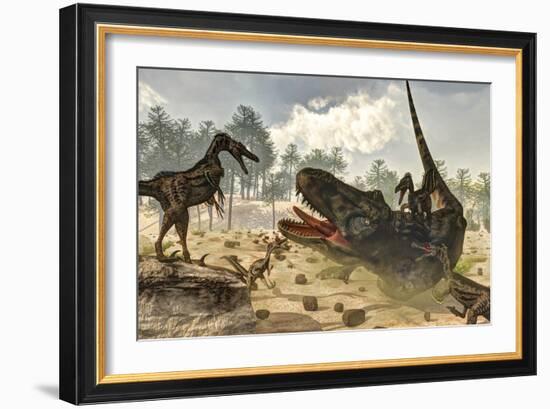 Tarbosaurus Attacked by a Group of Velociraptor Dinosaurs-Stocktrek Images-Framed Art Print